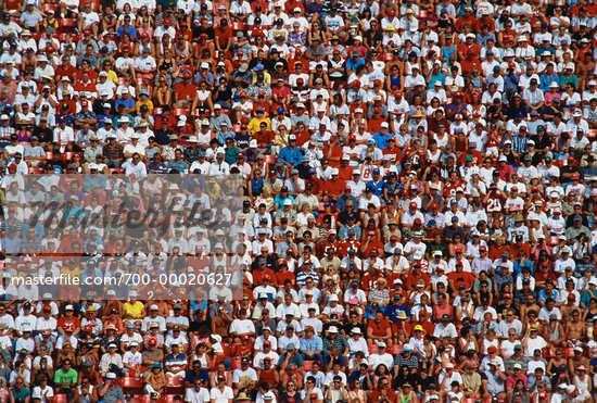 stadium crowd