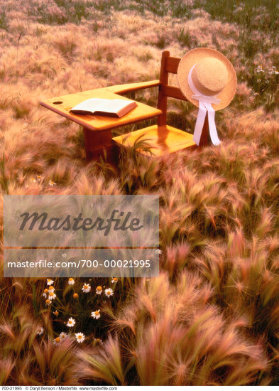 field of hats