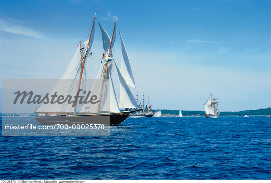 Blue Nose Boat