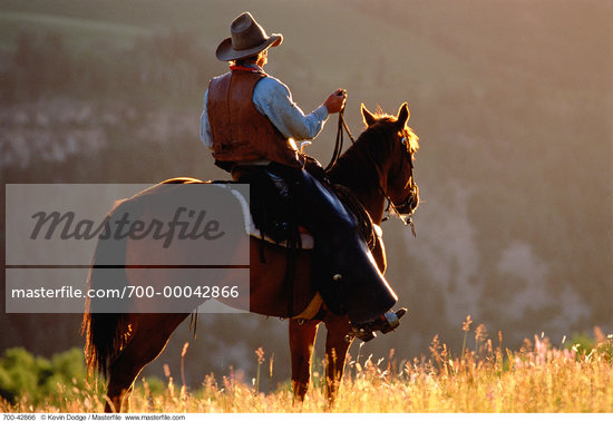 Cowboy Horse Rider