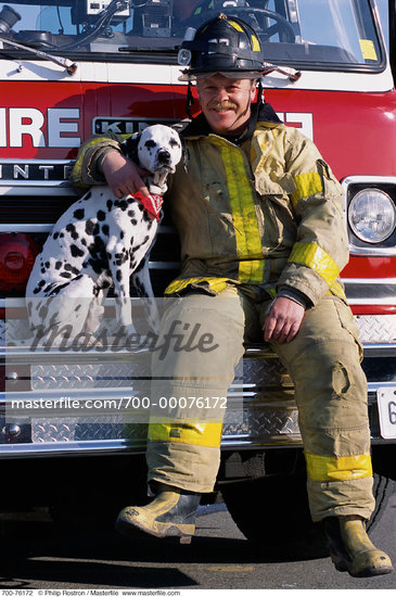 fire dalmation