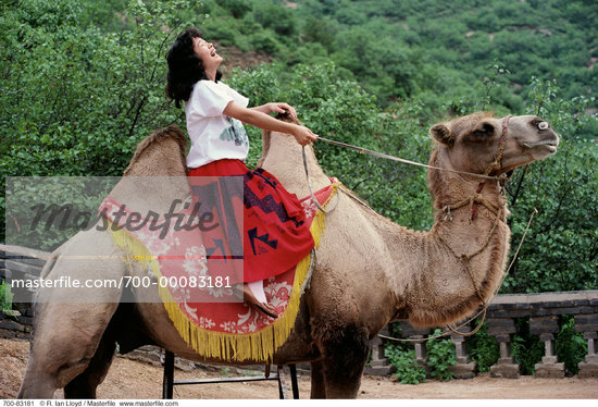 woman riding camel