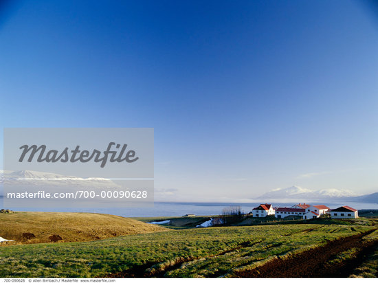 Farming In Iceland