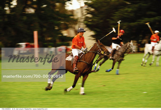 Polo The Sport