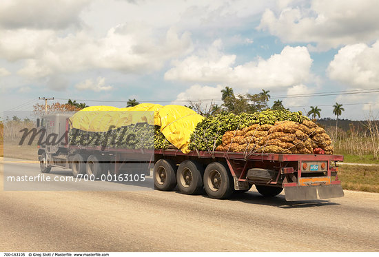 Banana Truck