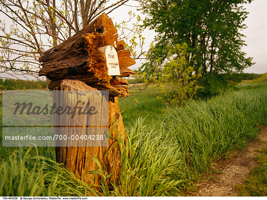 Rural Letterbox