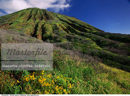 Hawaiian Mountain Range