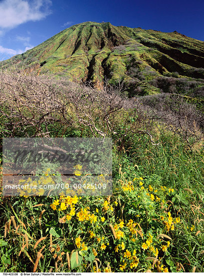 Hawaiian Mountain Range