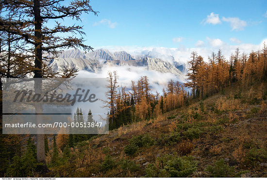 Alberta Mountain Range