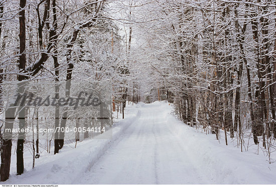 Scenic Snow