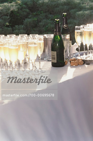 Champagne Glasses on Table Stock Photo RightsManaged Artist Anthony 