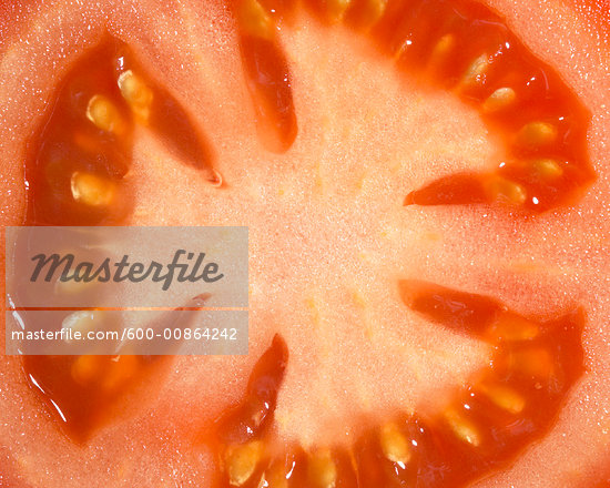 tomato close up
