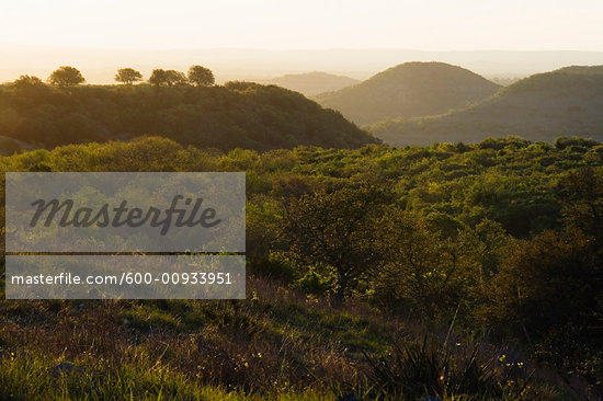 Hills In Texas