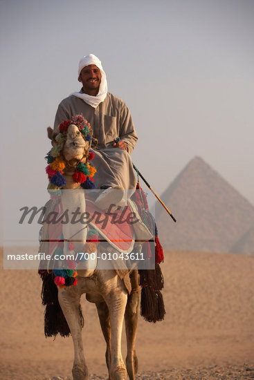 Arab On Camel