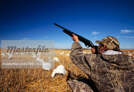 goose hunting gun shooting