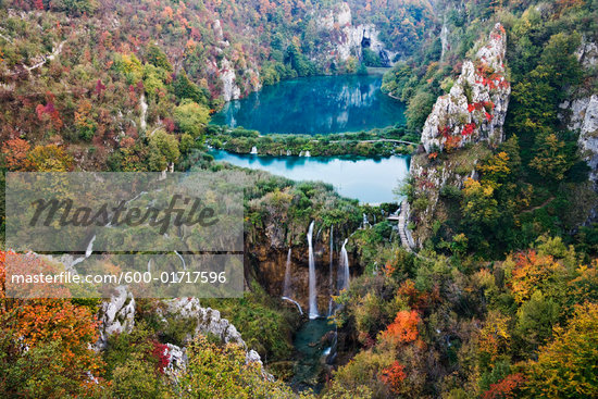 croatian national forest