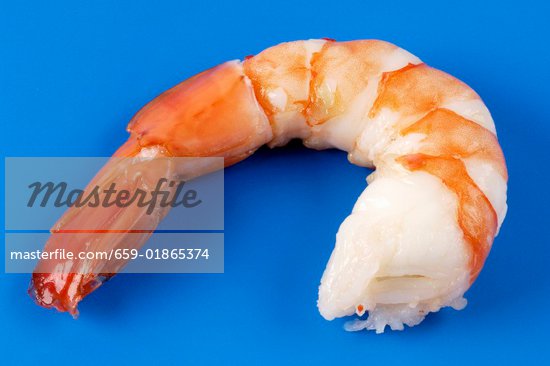 prawn outline