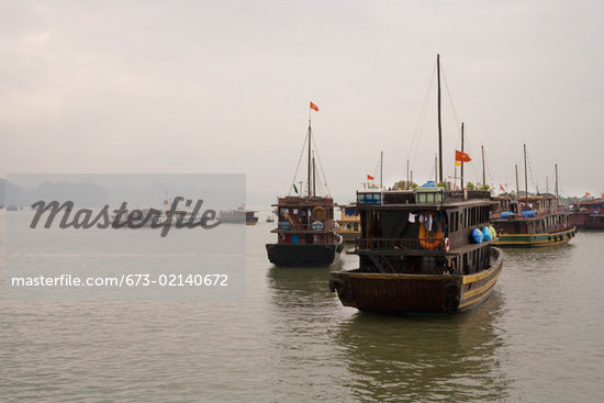 vietnamese tour boat