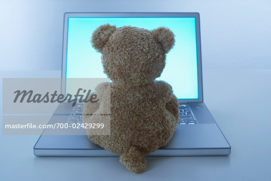 computer teddy