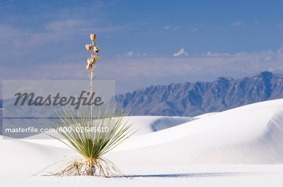 Andres Mountains