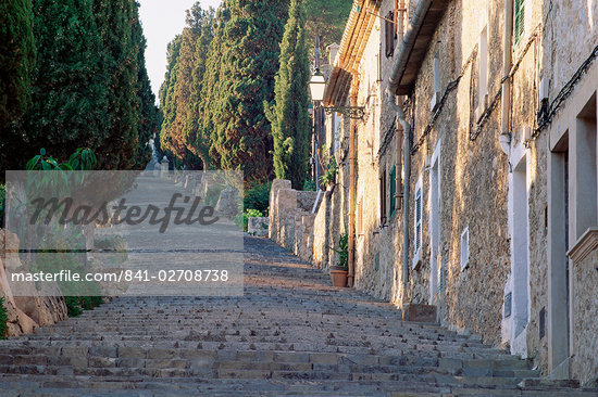 Cobbled Steps