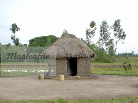 Mud Hut Colour