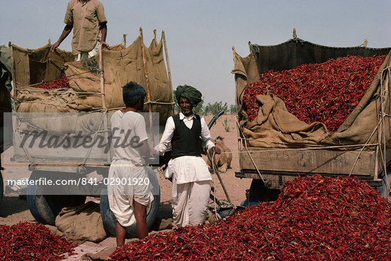 chilli market