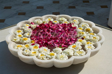 shiv flower