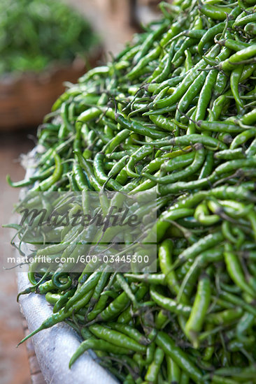 Indian Green Chillies