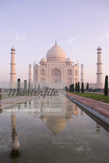 Taj Mahal Lotus