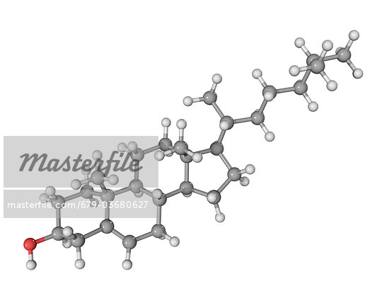 cholesterol molecule structure