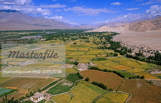 Indus Valley Agriculture