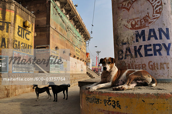 Wallpaper+of+varanasi+ghat