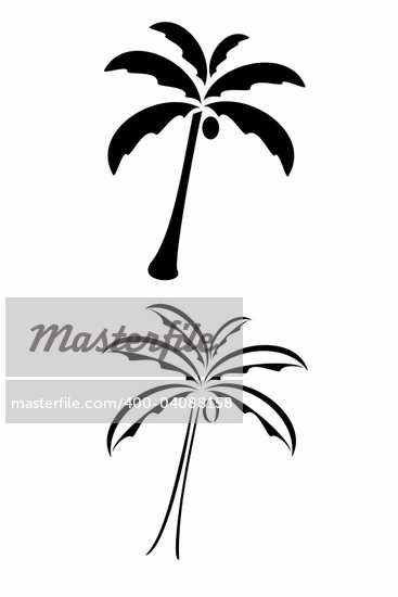 tattoos palm trees