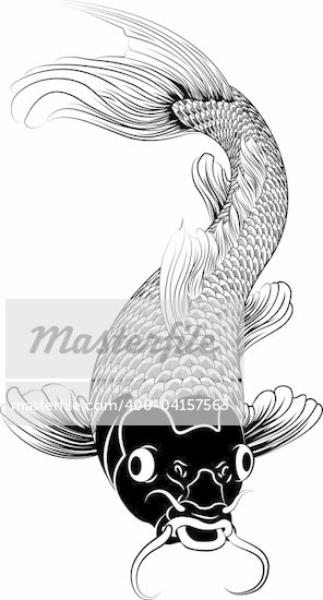  vector illustration of a Japanese or Chinese inspired koi carp fish