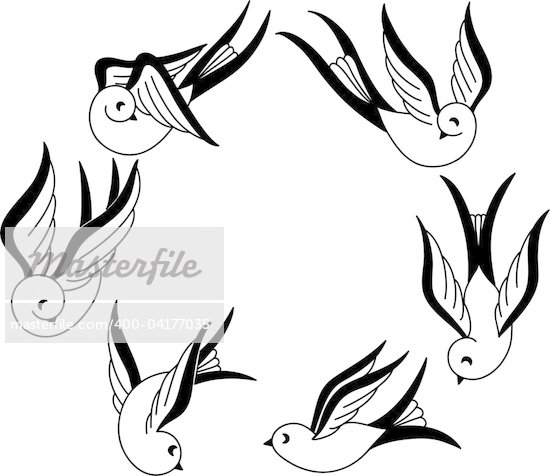 Set of hand drawn songbird tattoo design elements