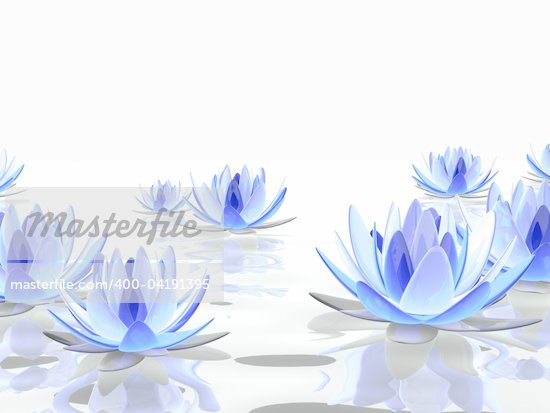 Lotus 3D