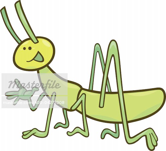 Cricket Insect Cartoon