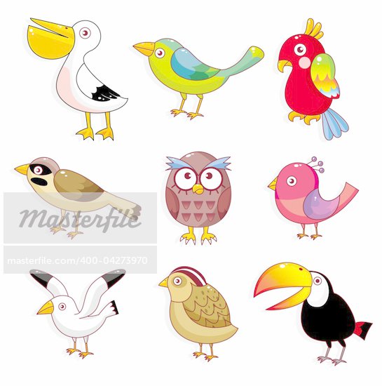 Cartoon Bird Characters