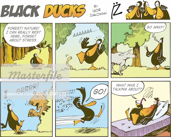 Black Cartoon Duck