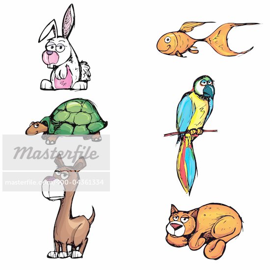 Cartoon Pets Pictures