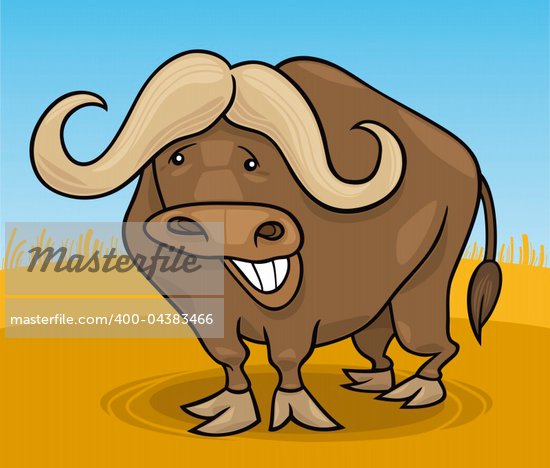 Buffalo Animal Cartoon