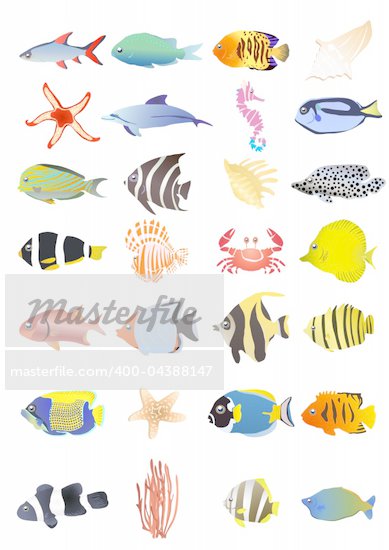 marine life illustrations