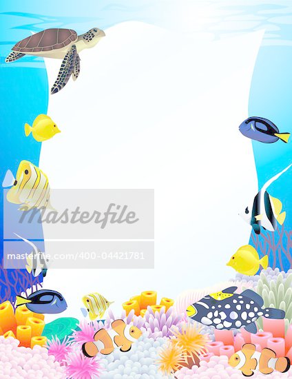 marine life illustrations