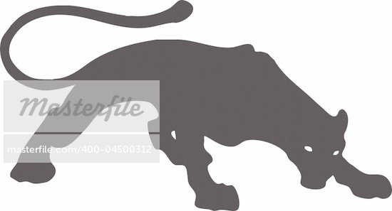 Black puma or phanter wallpaper background flayer logo 