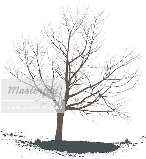 Leafless Tree Drawings