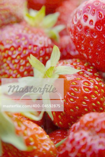 strawberry sepals