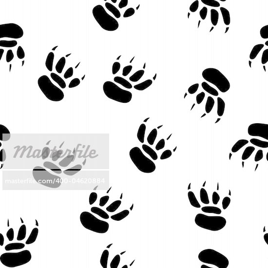 Paw Print Tracks