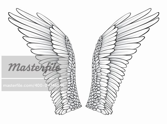 Dove Wings Drawing