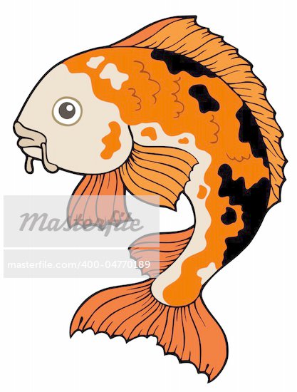 Koi Carp Cartoon